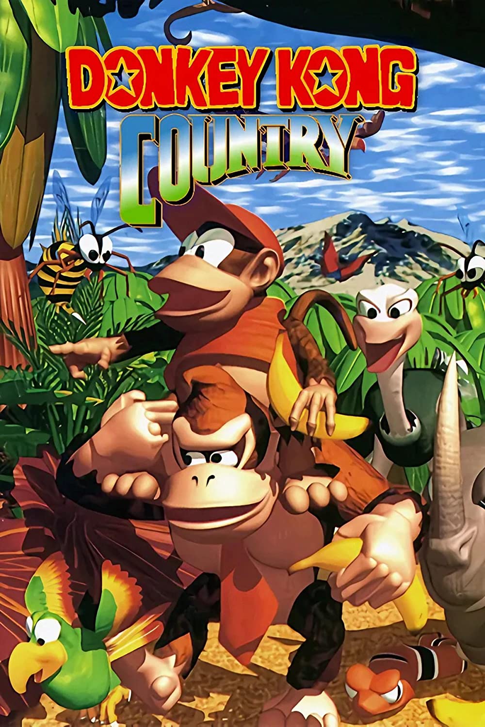 Donkey Kong Country